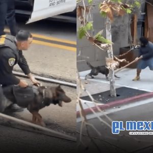 Agreden a trabajador de estacionamiento cerca de Petco Park