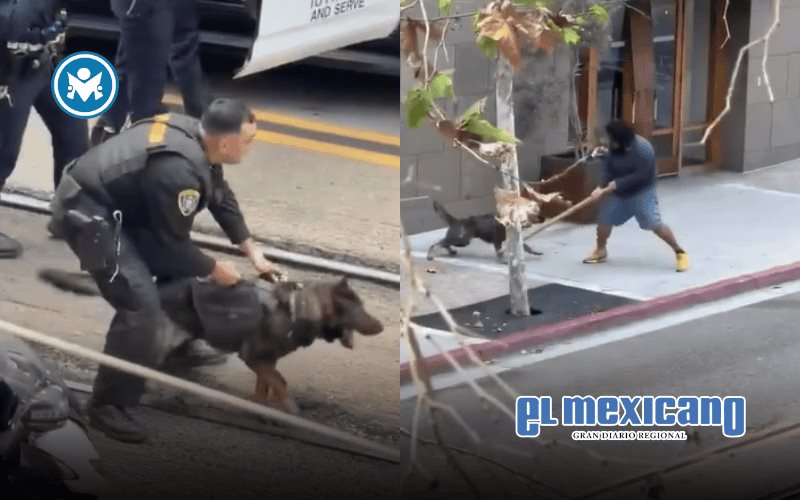 Agreden a trabajador de estacionamiento cerca de Petco Park Agreden a trabajador de estacionamiento cerca de Petco Park