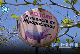 Reyes de Pa&iacute;ses Bajos evitan posar con Melania Trump