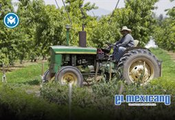 Sheinbaum destaca ca&iacute;da de 45% en homicidios y anuncia Escuela de Mandos