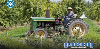 Se desploma el super&aacute;vit agroalimentario de M&eacute;xico: cae m&aacute;s de 60% en el primer bimestre de 2026