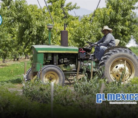 Se desploma el super&aacute;vit agroalimentario de M&eacute;xico: cae m&aacute;s de 60% en el primer bimestre de 2026