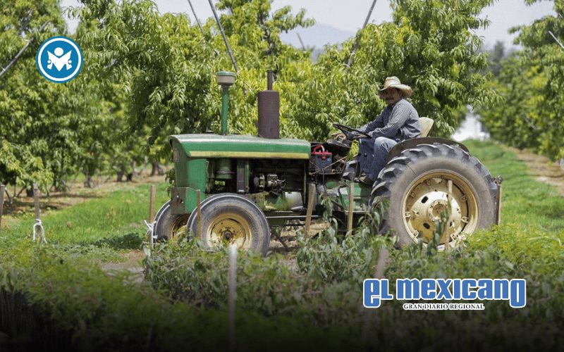 Se desploma el superávit agroalimentario de México: cae más de 60% en el primer bimestre de 2026 Se desploma el superávit agroalimentario de México: cae más de 60% en el primer bimestre de 2026