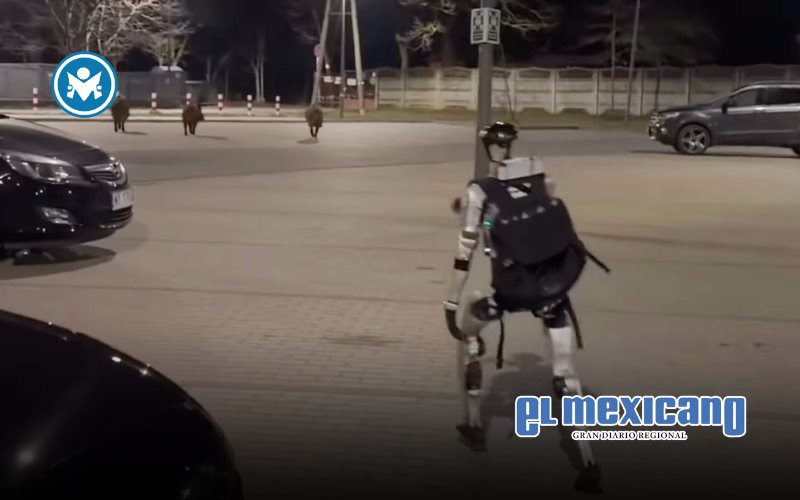 Robot humanoide se vuelve viral tras ahuyentar jabal&iacute;es en Varsovia