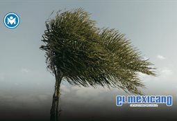 Index Zona Costa BC impulsa agenda de seguridad laboral y comercio exterior en Ensenada