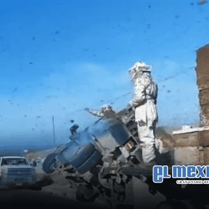 Abejas escapan tras volcadura de cami&oacute;n con 150 colmenas