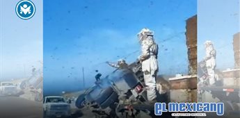 Abejas escapan tras volcadura de cami&oacute;n con 150 colmenas