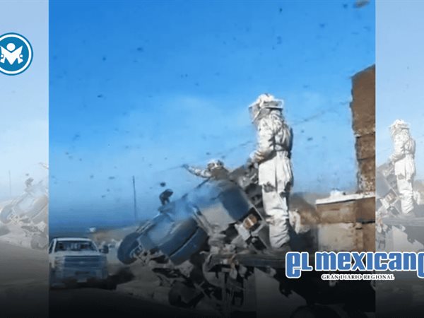 Abejas escapan tras volcadura de cami&oacute;n con 150 colmenas