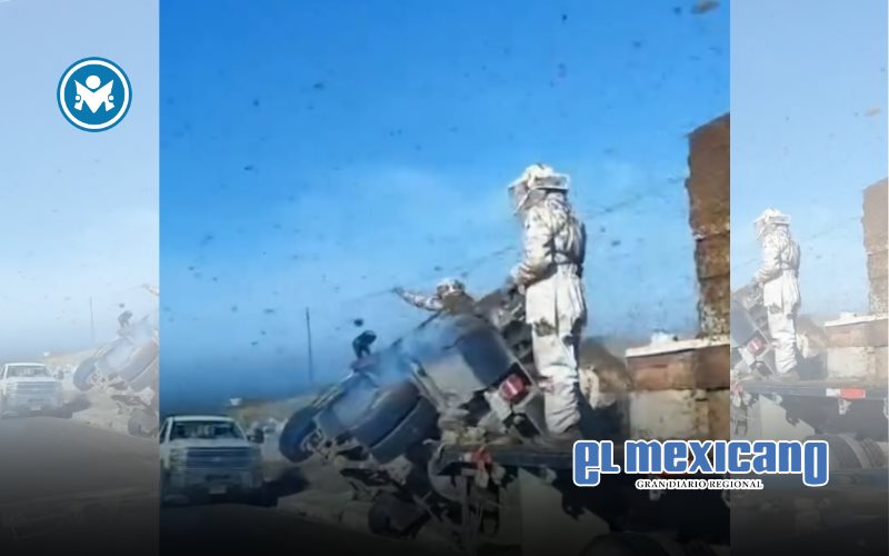 Abejas escapan tras volcadura de cami&oacute;n con 150 colmenas