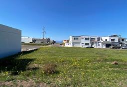 Reunirá “CIMARC 2026” a especialistas en Medicina Regenerativa de alto nivel en Tijuana