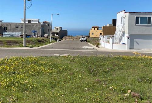 Galer&iacute;a Imagen 17