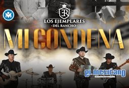 Jhay P, el artista colombiano lanza La que me am&oacute;