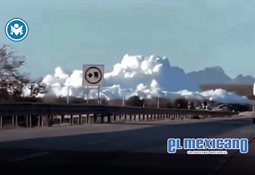 "Perro caramelo" es reconocido como raza mexicana