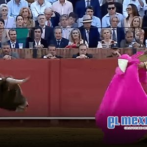 Morante de la Puebla sufre cornada; reportan estado muy grave