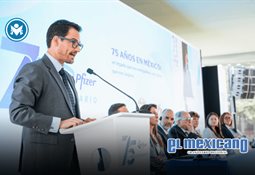 Esthela Dami&aacute;n deja la Consejer&iacute;a Jur&iacute;dica; buscar&aacute; candidatura de Morena en Guerrero