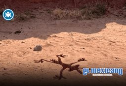 Danny Ocean y Ryan Castro se unen en Desah&oacute;gate