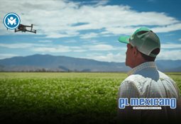 Esthela Dami&aacute;n deja la Consejer&iacute;a Jur&iacute;dica; buscar&aacute; candidatura de Morena en Guerrero