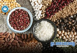 INAH niega recorte en seguridad tras ataque en Teotihuac&aacute;n