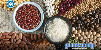 Desabasto de semilla calificada afecta producci&oacute;n de ma&iacute;z y cultivos en M&eacute;xico