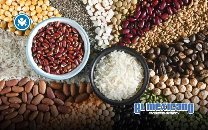 Desabasto de semilla calificada afecta producci&oacute;n de ma&iacute;z y cultivos en M&eacute;xico