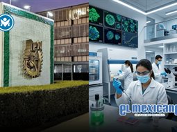 IPN logra regenerar huesos y tejidos con c&eacute;lulas madre