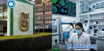 IPN logra regenerar huesos y tejidos con c&eacute;lulas madre