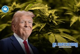 Turista muere aplastado por bloque de hielo en cueva del T&iacute;bet