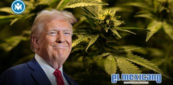 EU reclasifica la marihuana como droga menos peligrosa