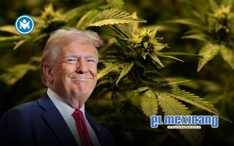 EU reclasifica la marihuana como droga menos peligrosa