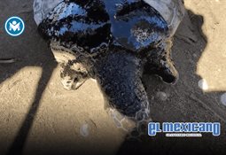 SRE nombra a Rigoberta Mench&uacute; consejera en derechos ind&iacute;genas