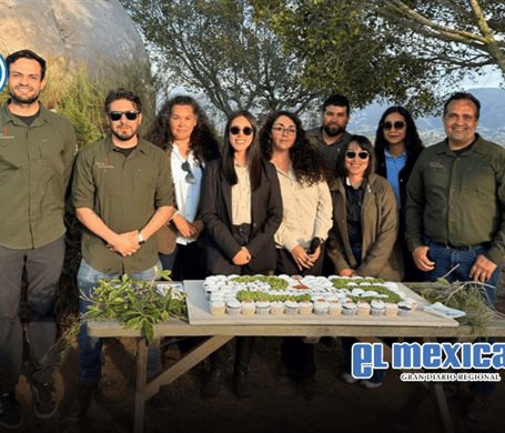 Terra Peninsular es reconocida en Brasil por su labor ambiental