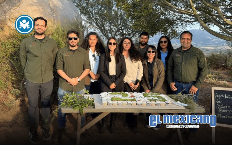 Terra Peninsular es reconocida en Brasil por su labor ambiental