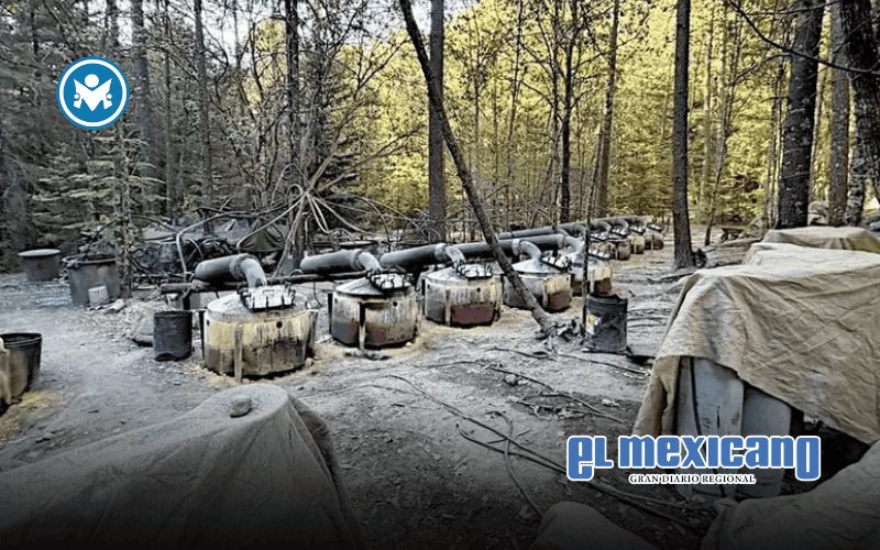 Gobierno confirma que agentes de EU muertos en Chihuahua no ten&iacute;an autorizaci&oacute;n para operar