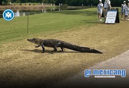 Madonna sorprende al cantar en club nocturno