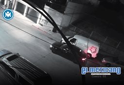 Cocodrilo irrumpe en torneo de golf en Nueva Orleans