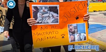 Exigen c&aacute;rcel para presunto agresor que mat&oacute; a un gatito tras coserle el hocico
