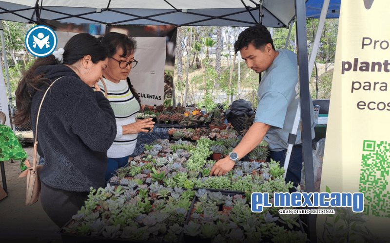Re&uacute;ne Terra Fest 2026 a amantes del medio ambiente