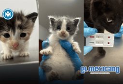 CBP anuncia disponibilidad de citas para SENTRI en Otay Mesa y Calexico