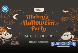 Viajar sin planearlo puede encarecer hasta 30% el costo