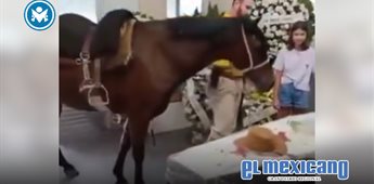 Yegua irrumpe en funeral de Brasil para despedir a su due&ntilde;o