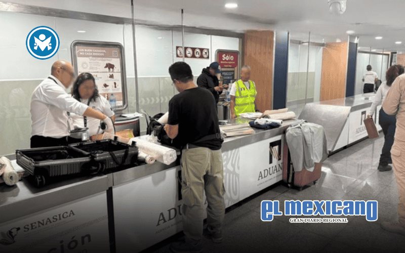 Aseguran en el AICM lienzos con presunto narc&oacute;tico oculto en la pintura; detienen a una persona extranjera