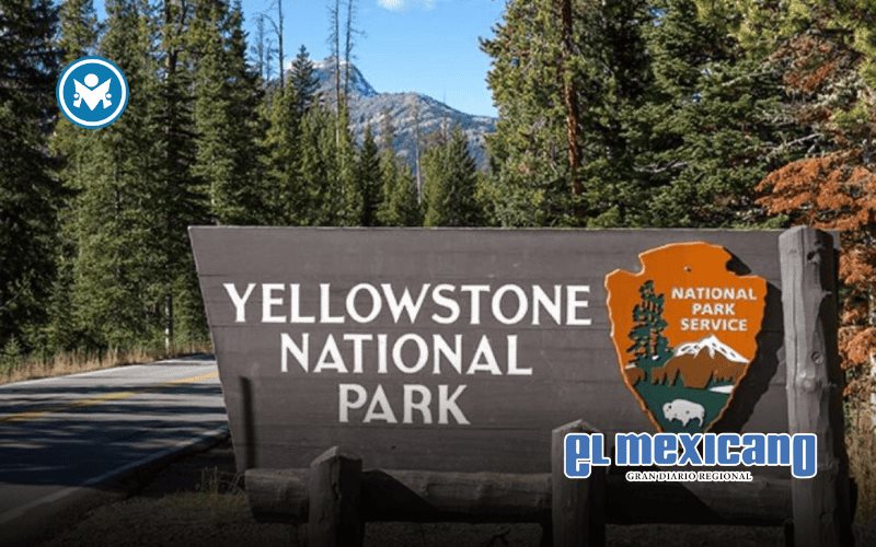 Oso ataca a excursionistas en Yellowstone y provoca cierre de senderos