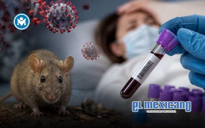 Israel reporta su primer caso de hantavirus; descartan vínculo con crucero MV Hondius