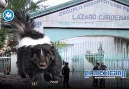 Patrulla Espiritual alista proyecto de rescate canino