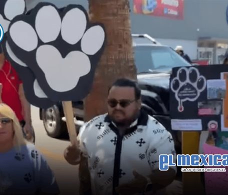 Exigen justicia por gatito torturado en manifestaci&oacute;n en Tijuana