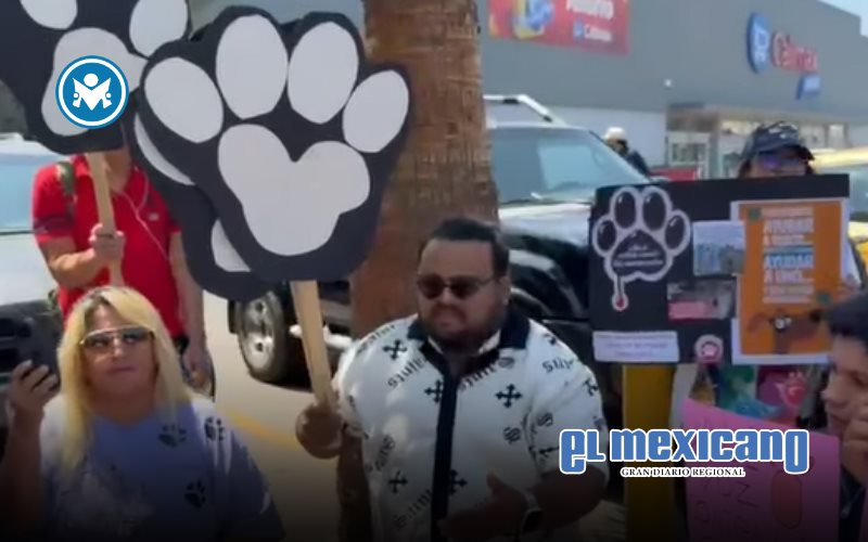 Exigen justicia por gatito torturado en manifestaci&oacute;n en Tijuana