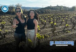Carlos Torres Saca las Manos de MORENA: Ruiz Uribe Carlos Torres Saca las Manos de MORENA: Ruiz Uribe