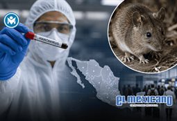 Nos est&aacute;n matando: desplazados de Guerrero piden ayuda a EU
