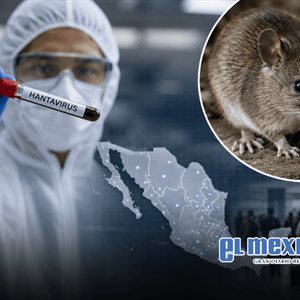 Secretaría de Salud emite primer aviso epidemiológico por hantavirus Secretaría de Salud emite primer aviso epidemiológico por hantavirus