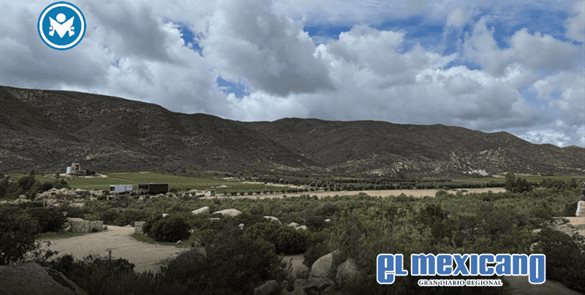 El Valle de Guadalupe sigue siendo el coraz&oacute;n tur&iacute;stico y gastron&oacute;mico de Baja California  